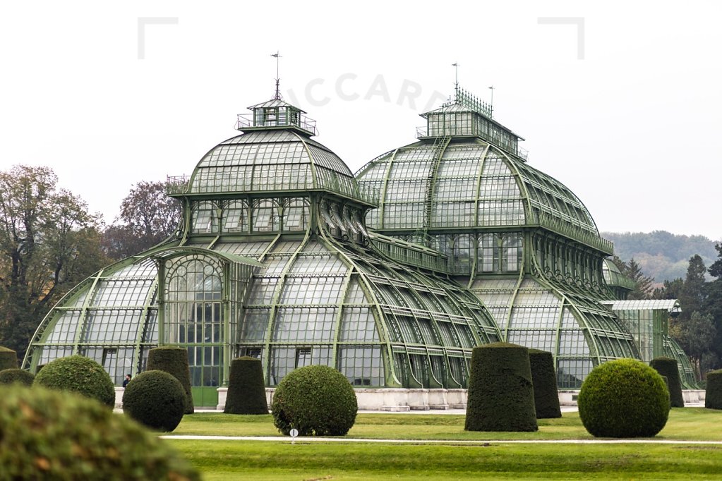 Tiergarten Schönbrunn '18